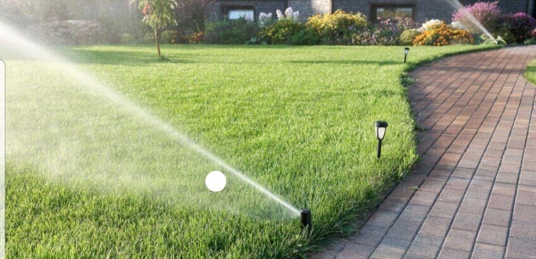 Sprinkler watering a lawn