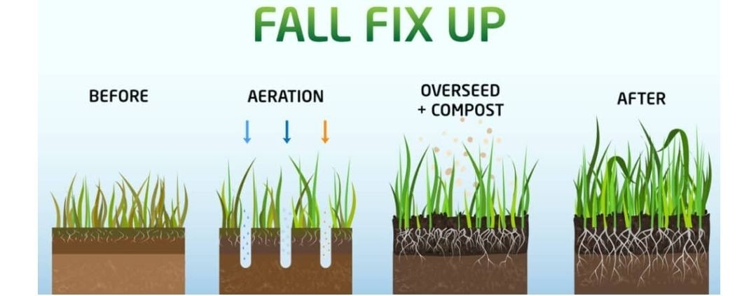 Compost Aeration and over seed service