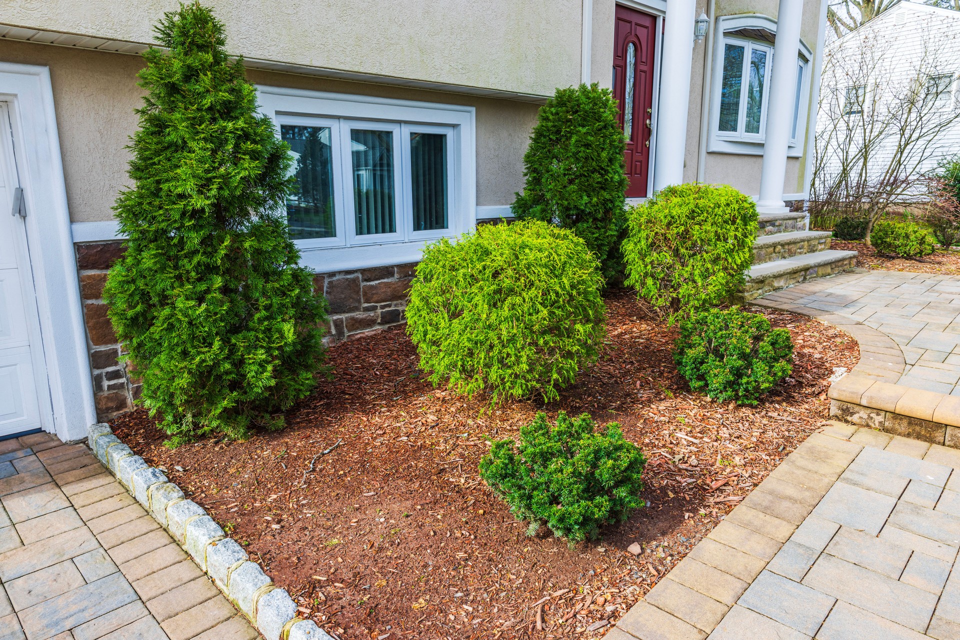Green shrubs in landscaped garden near modern villa entrance with paved walkway in spring. New Jersey. USA.